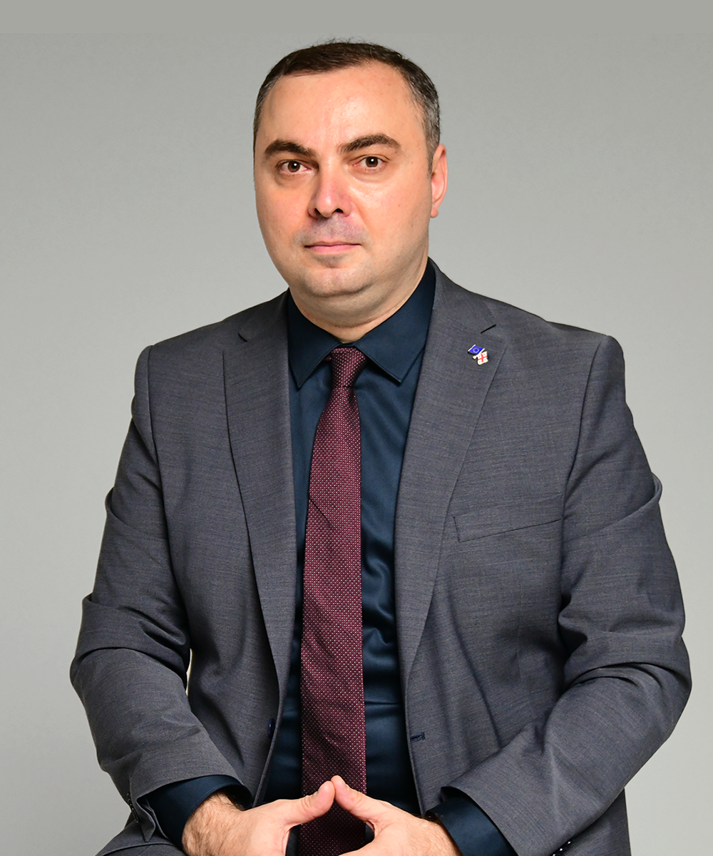 დავით მამრიკიშვილი - მმართველი პარტნიორი